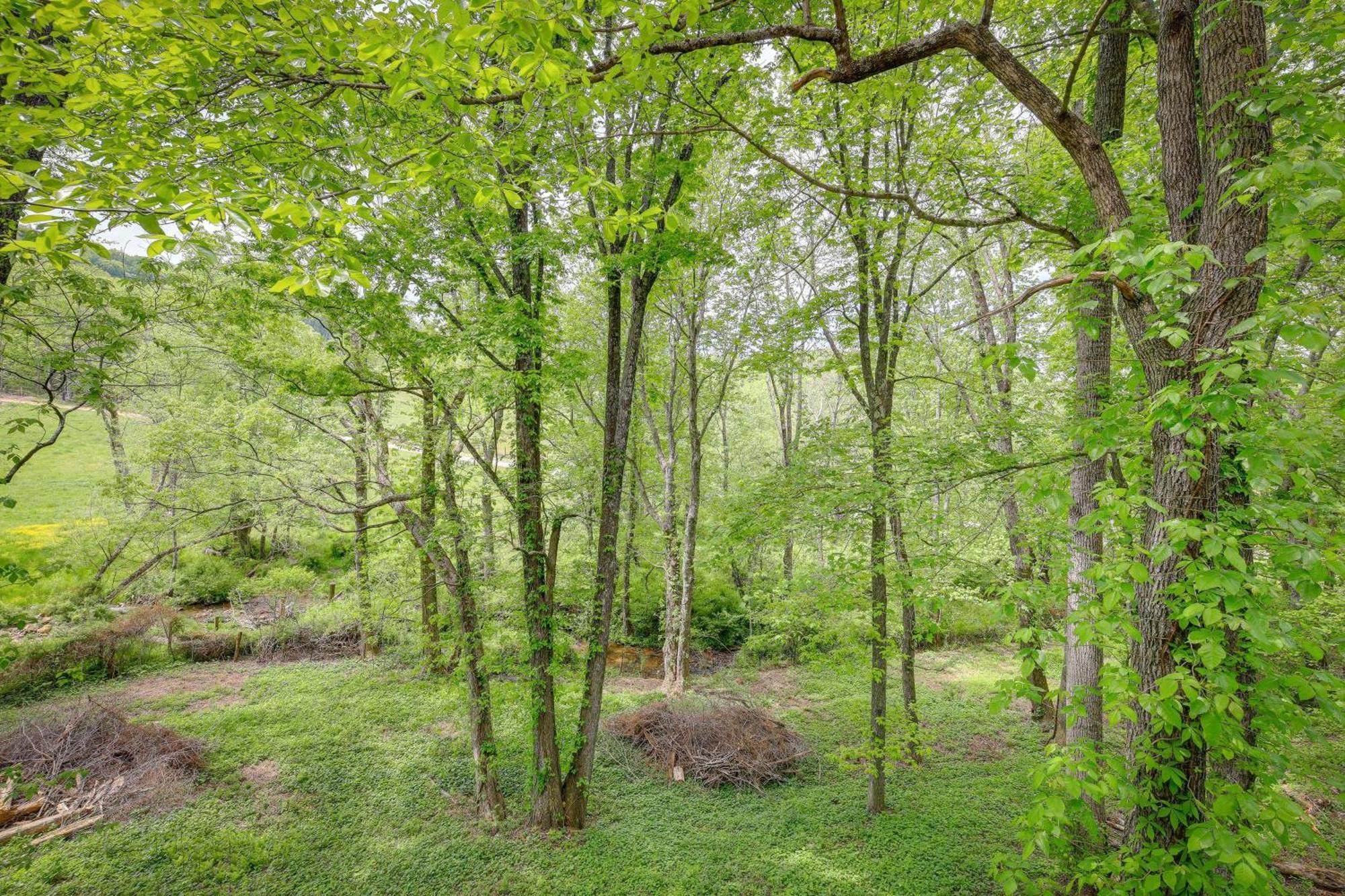 Quaint Blue Ridge Cabin Rental With On-Site Stream! スパルタ エクステリア 写真